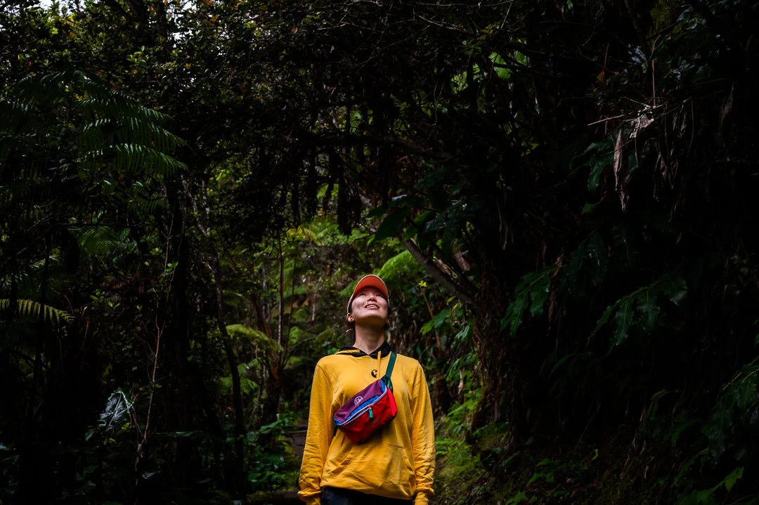 Person in Rainforest